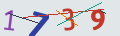 verifycode